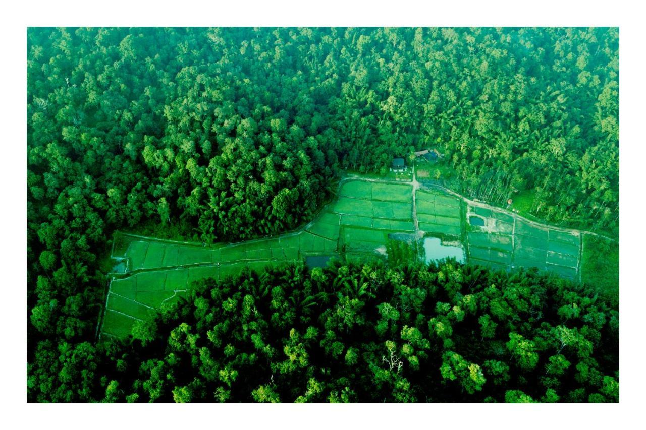 Vayal Veedu - Luxury Farm Villas By The Woods Muthanga Luaran gambar