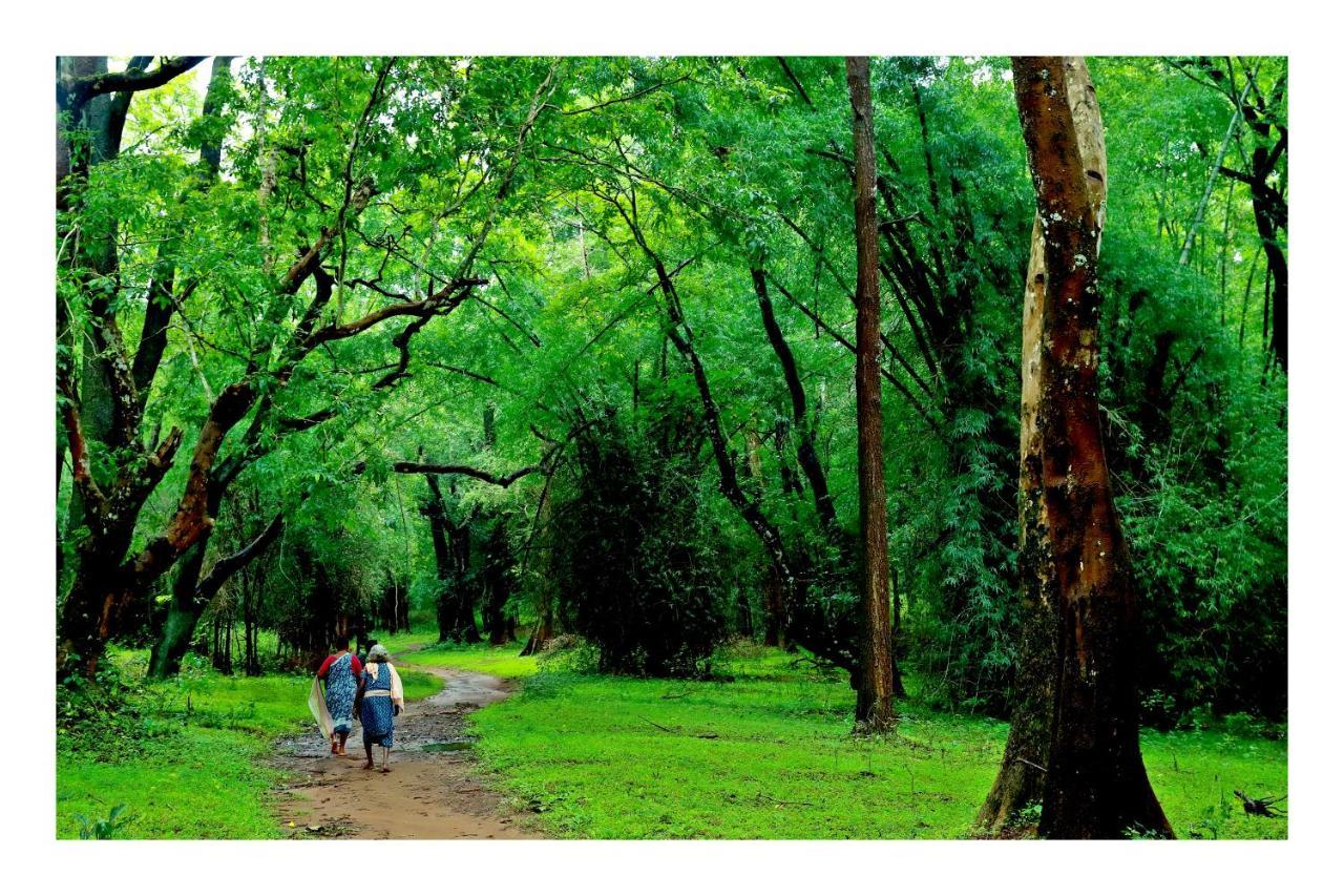 Vayal Veedu - Luxury Farm Villas By The Woods Muthanga Luaran gambar
